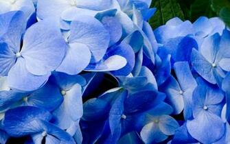 Digital High Defination 3d Window HD Wallpaper