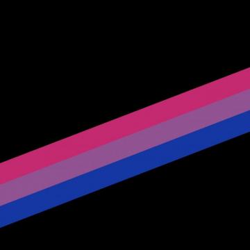New Bi Flag Wallpaper iPhone Christmas