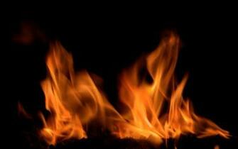 Fireplace Video Live Wallpaper Screenshot