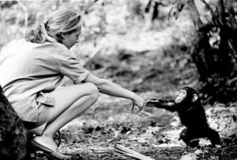 I Was Here Jane Goodall