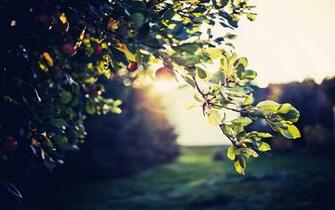 Archives Of HD Wallpaper Source