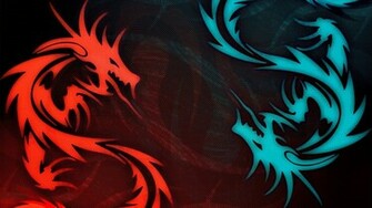 Water And Fire Dragons Wallpaper