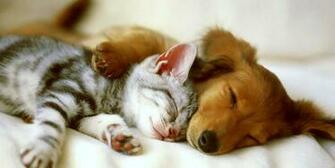 Nap Time Cover Background Twitrcovers