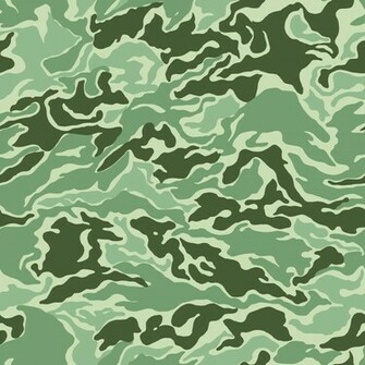 Camouflage Background Quotes