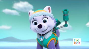 Everest Paw Patrol Photo