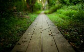 Wooden Forest Path Wallpaper HD