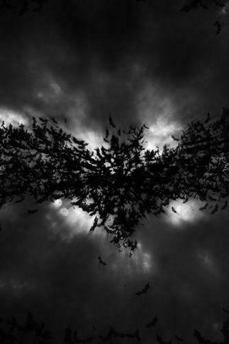 Batman Logo Made Of Bats Screensaver For Amazon Kindle Dx