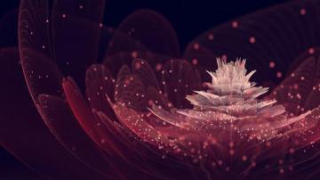 Maroon Abstract Wallpaper Top Background
