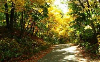 Thread Michigan Fall Colors Desktop Wallpaper