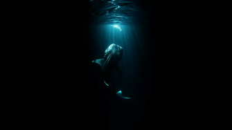 Just Think There Could Be Even More Hiding In The Shadows X