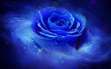 Pretty Blue Background HD Wallpaper Background