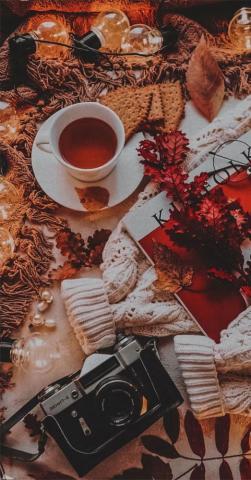 Cozy Autumn Aesthetic Idea Wallpaper iPhone