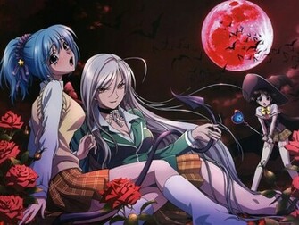 Rosario Vampire Wallpaper