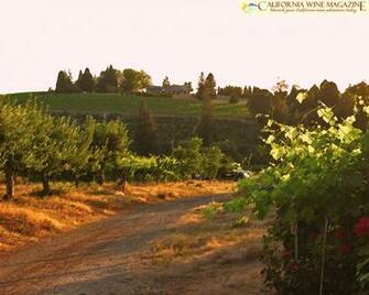 California Wine Magazine Wallpaper