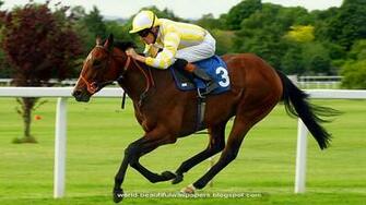 Go Back Gallery For Horse Racing Wallpaper Desktop