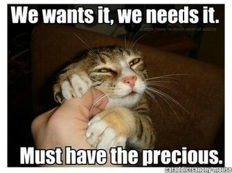 Lolcats Widescreen Wallpaper