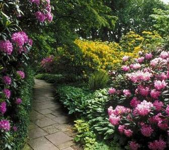 For Flower Lovers Flowers Sceneries Beautiful Desktop Wallpaper