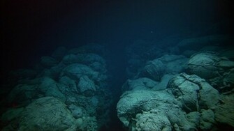 Ocean Floor Wallpaper