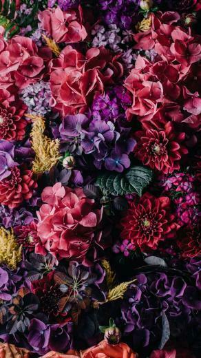Vintage Floral iPhone Wallpaper Collection Spring
