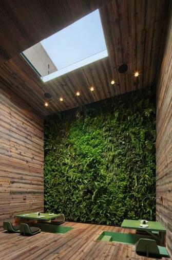 Go Green Amazing Living Feature Walls Feathr