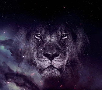 Galaxy Lion Wallpaper