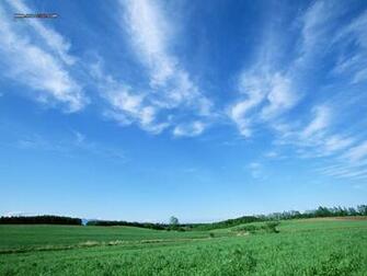 Farm Scene Photography No Desktop Wallpaper Wallcoo Net