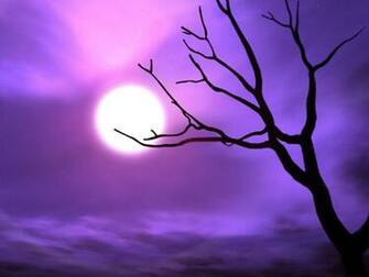 Purple Sky Wallpaper Stock Photos