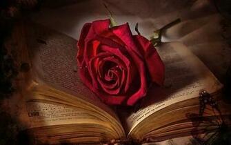 Live Rose Wallpaper All New