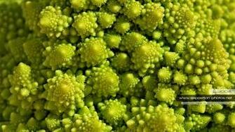 Romanesco Wallpaper
