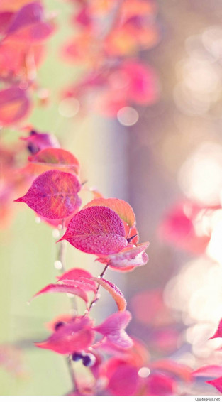 Cute Girly Lock Screen iPhone Wallpaper