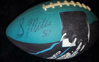 Carolina Panthers Wallpaper HD Resolution HDwallpaper9