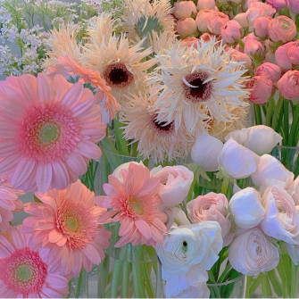 Flowers Aesthetic Wallpaper