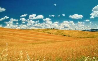 HD Literary Wallpaper For Desktop Mobile Or Tablet
