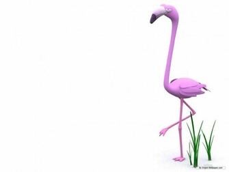 3d Funny Animal Wallpaper