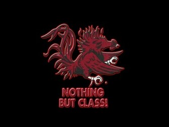 South Carolina Gamecocks College Football Wallpaper