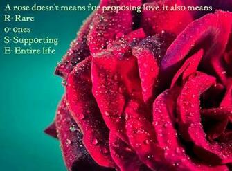 Rose Day Quotes Sayings And Image Freshmorningquotes