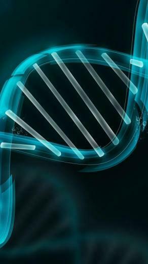 Droid Dna Live Wallpaper Screenshot