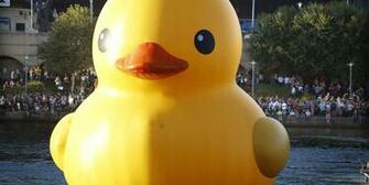 Pin Rubber Ducks