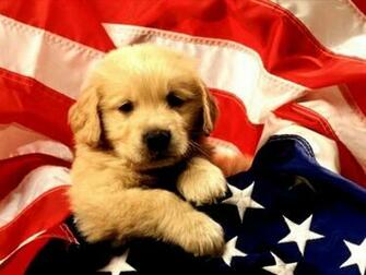 Wallpaper Galery Puppies Screensaver