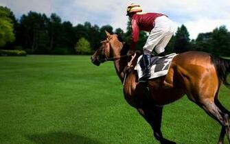 Horse Racing Sport Running Sports