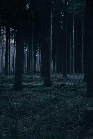iPhone iPad Parallax Wallpaper