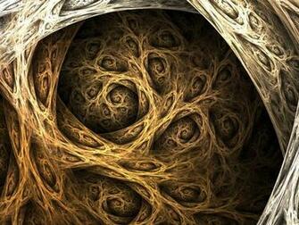 Tree Root Wallpaper X Net