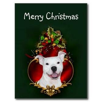 Pitbull Lover Gifts T Shirts Art Posters Other Gift Ideas
