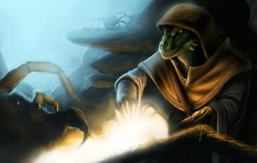 Wallpaper Spider Skyrim The Elder Scrolls V Argonian Image