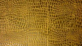 Crocodile Skin Good Wallpaper