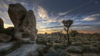 Joshua Tree National Park Wallpaper Nature