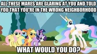 My Little Pony Friendship Is Magic Epic Pics