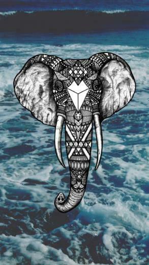 Elephant Wallpaper