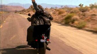 Hank Moody Wallpaper