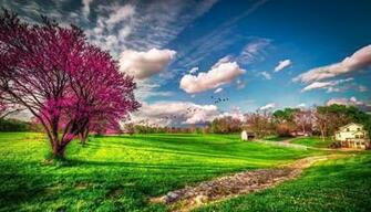 Spring Wallpaper Screenshot
